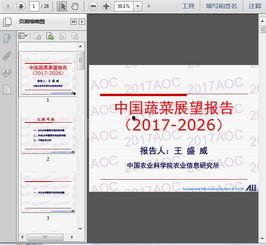 国产27页,深度解析中国电影产业的新篇章